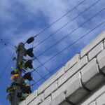Los componentes de la cerca eléctrica, incluye: el electrificador, barrajes, etc.