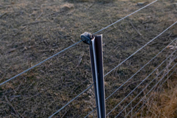 Macro Energía Colombia